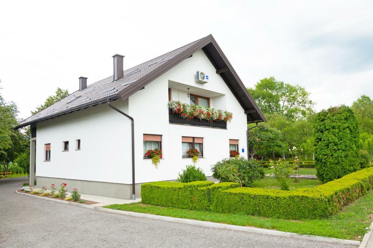 Lena Apartment
